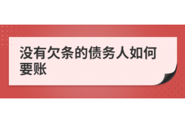 武夷山为什么选择专业追讨公司来处理您的债务纠纷？